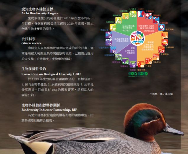2016ai_zhi_.jpg
