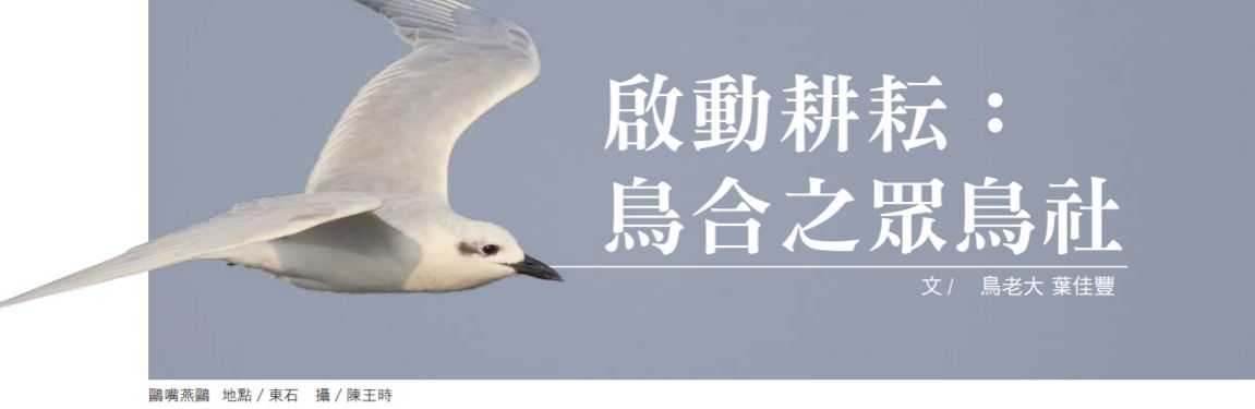2016xie_jia_feng_.jpg