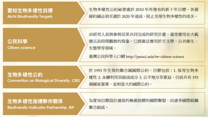 2017ai_zhi_.jpg