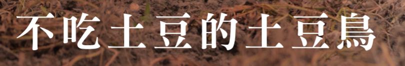 2017tu_dou_niao_.jpg