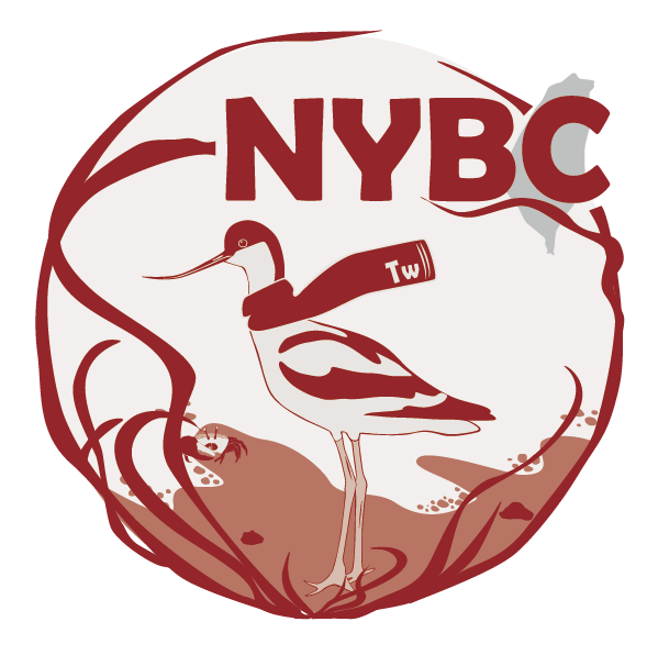 2019_nybc_logoguan_wang_yong_-qu_bei_.png