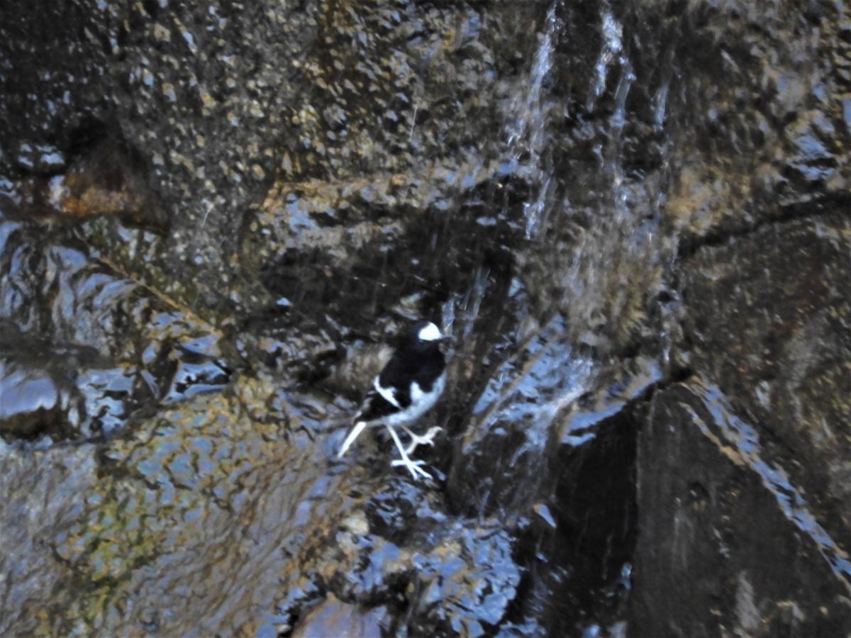 dscn4945.jpg