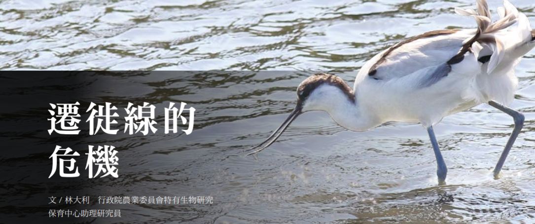 xie_qu__2.jpg